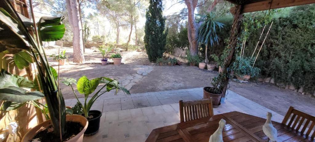 Luxe Vista Διαμέρισμα Serra Εξωτερικό φωτογραφία