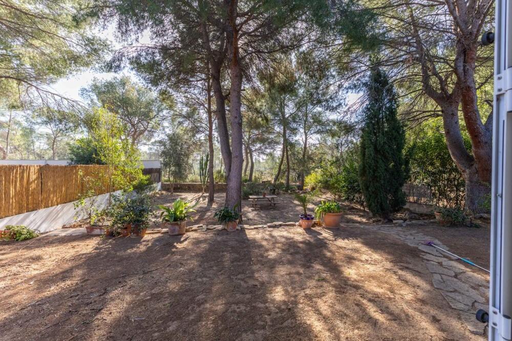 Luxe Vista Διαμέρισμα Serra Εξωτερικό φωτογραφία
